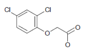 1539310416749809.png 2.png