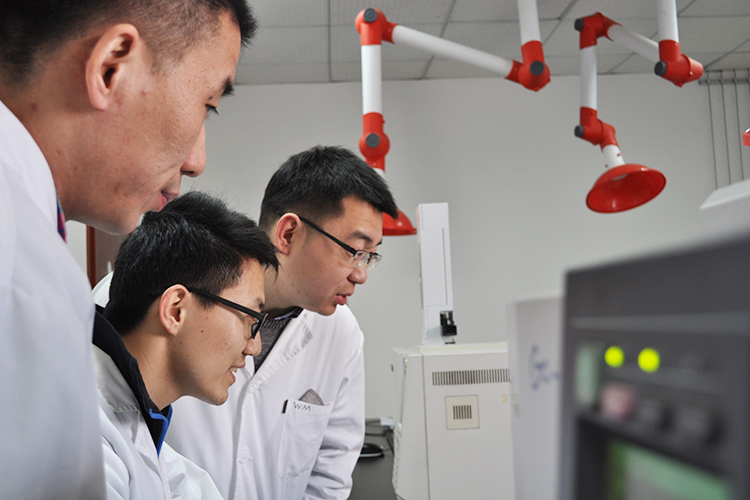 1539330519489546.jpg 各人庭3.jpg